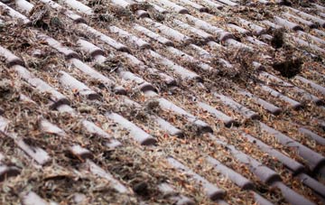 Shepperton roof cleaning companies