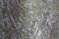 Shepperton fibreglass roof work